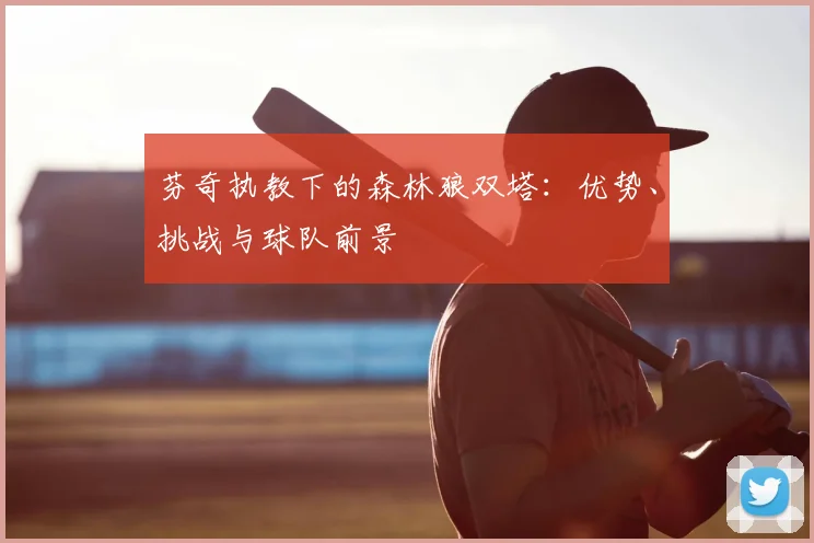 芬奇执教下的森林狼双塔：优势、挑战与球队前景