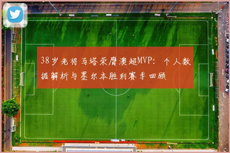 38岁老将马塔荣膺澳超MVP:个人数据解析与墨尔本胜利赛季回顾